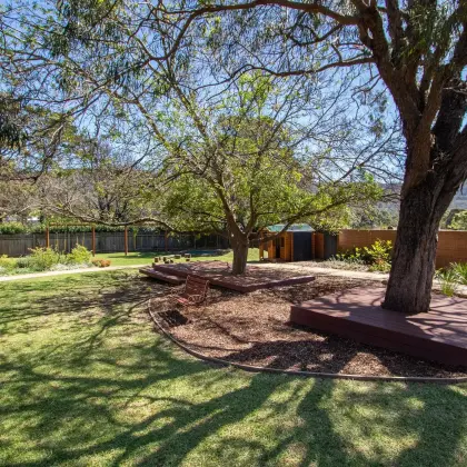 A large shady tree with a timber deck around its trunk in the landscaped church playground